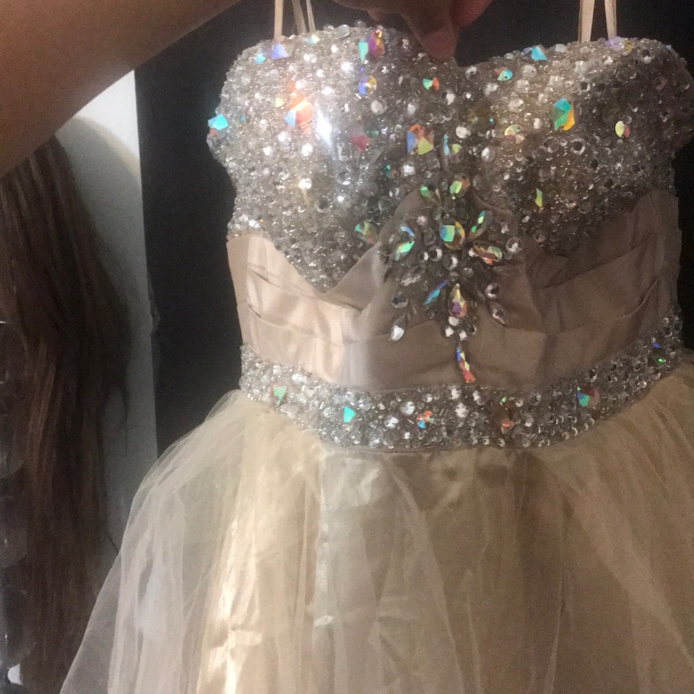 Short fluffy prom dress